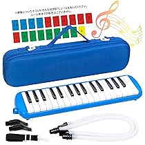 81v+MaiCO8L._AC_UL210_SR210,